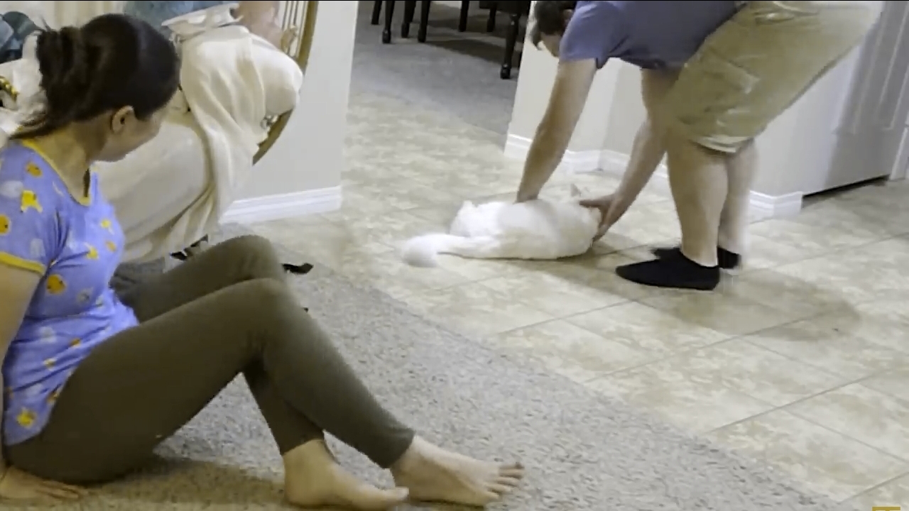 Gewndolyn Saltzman Feet