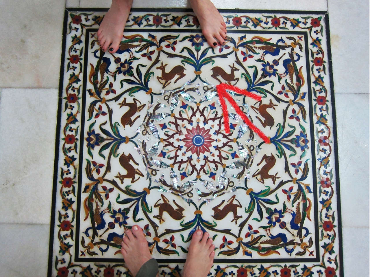 Annette Stephens Feet