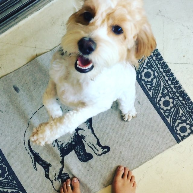 Amanda Lehan Canto Feet