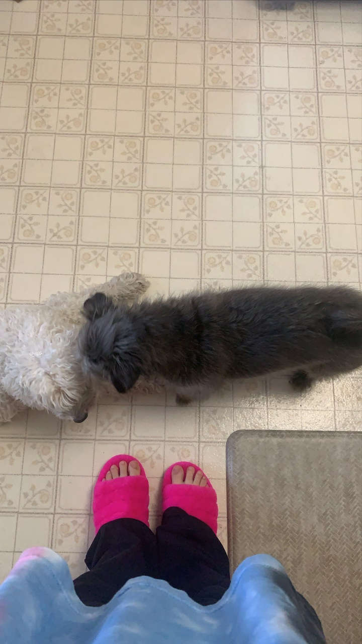 Esther Povitsky Feet