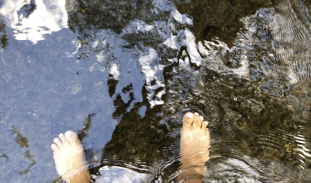 Nicole Shalhoub Feet