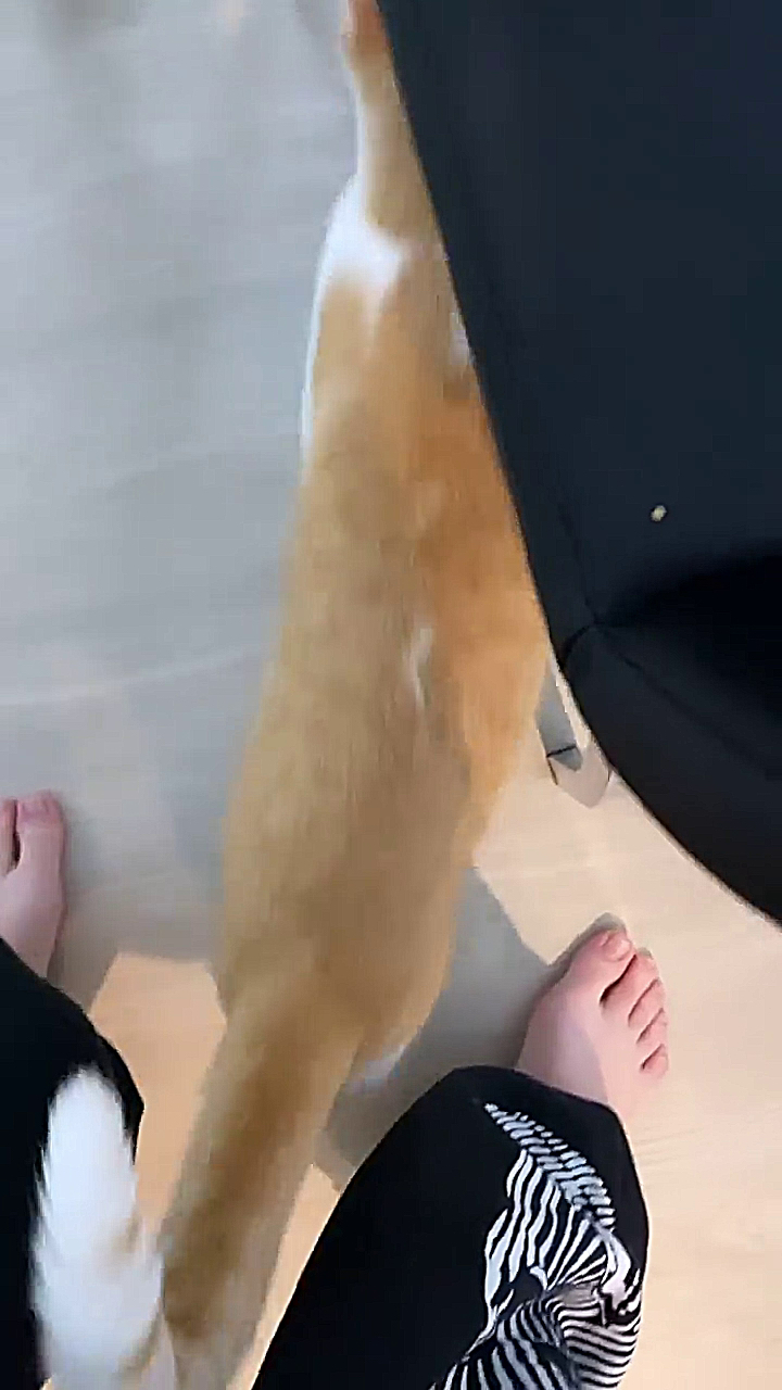 Carlie Hanson Feet