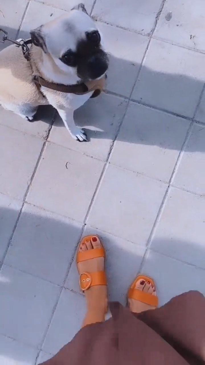 Simonetta Columbu Feet