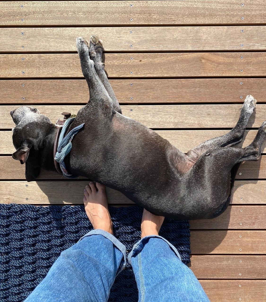 Emily Wickersham Feet