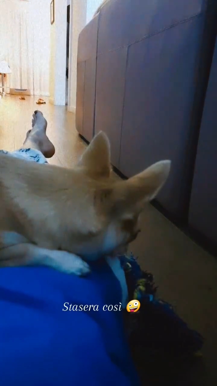 Claudia Ruggeri Feet