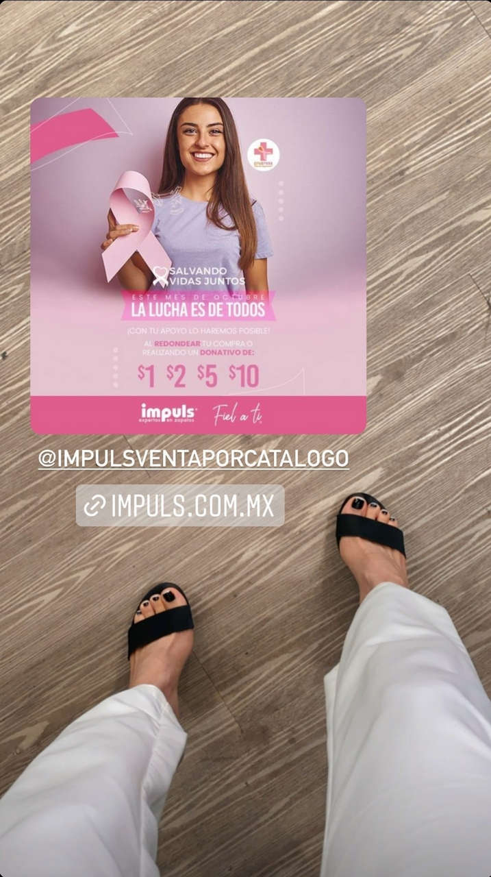 Pamela Longoria Feet