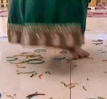 Dipika Kakar Feet