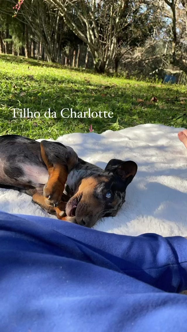 Leticia Shirakiin Feet