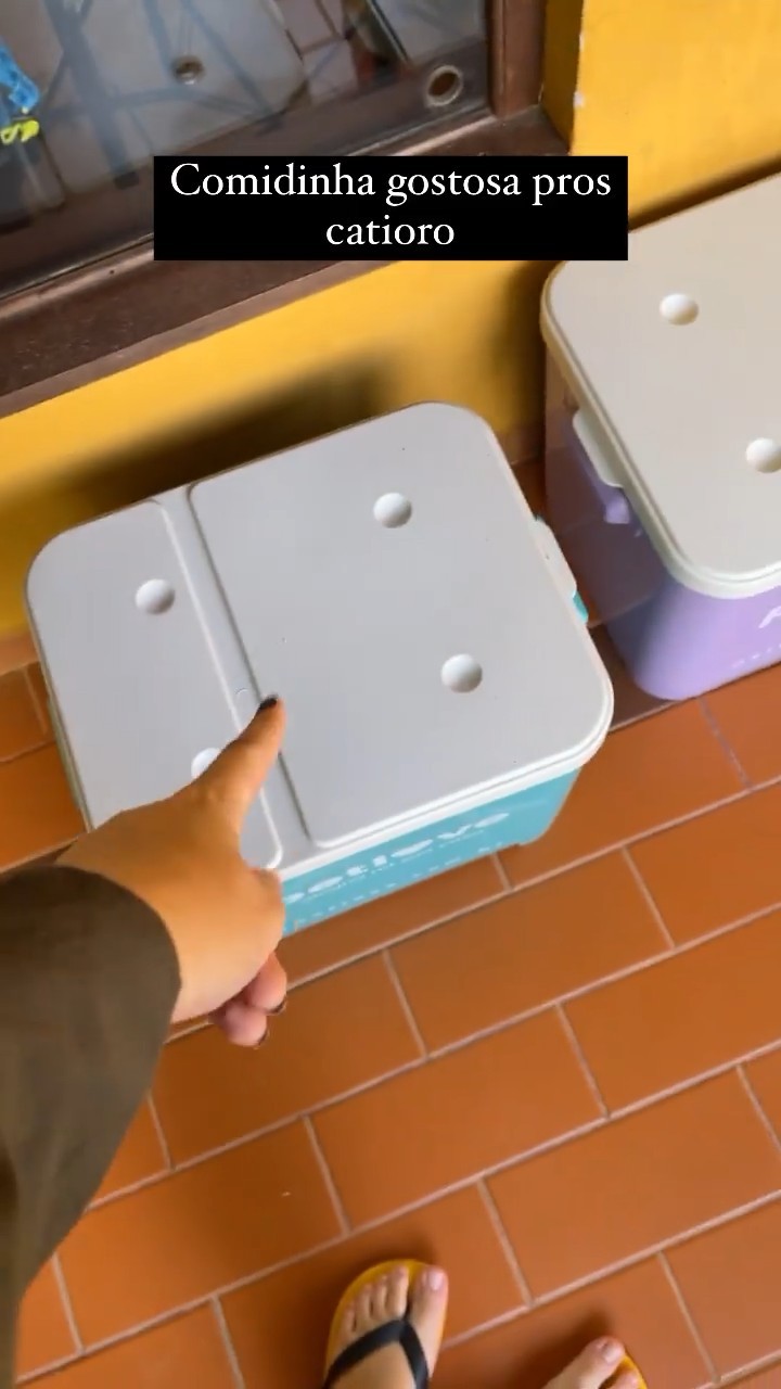 Leticia Shirakiin Feet