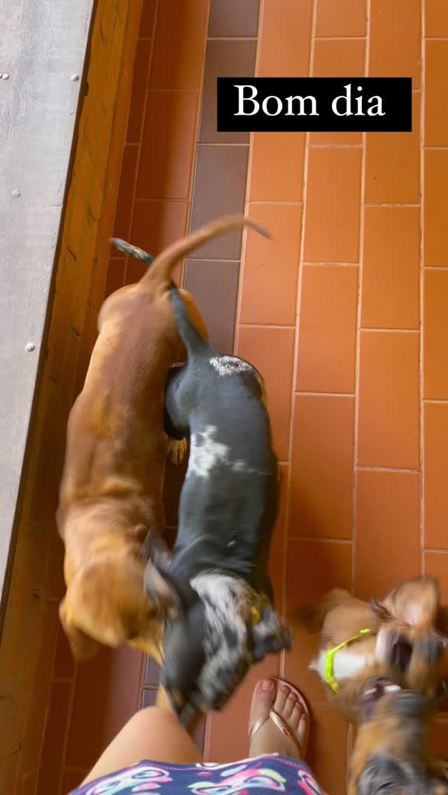 Leticia Shirakiin Feet