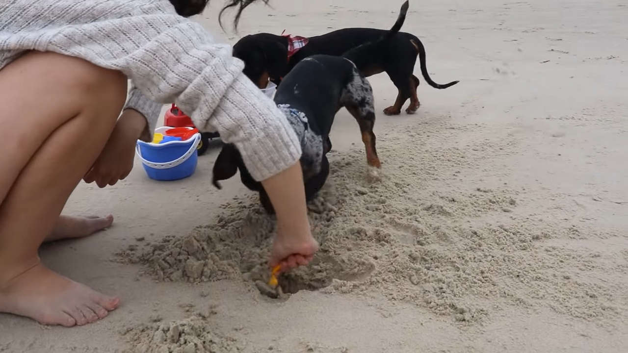 Leticia Shirakiin Feet