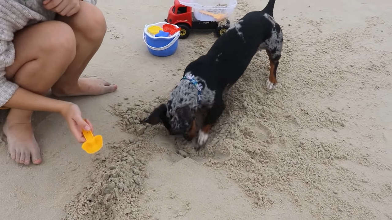 Leticia Shirakiin Feet