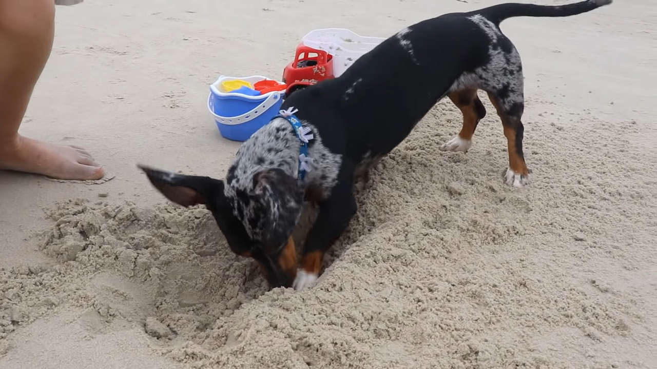 Leticia Shirakiin Feet