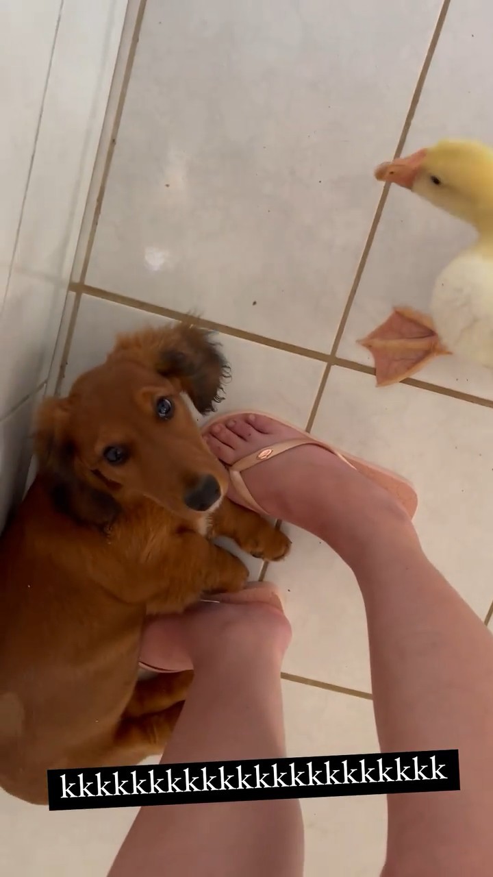 Leticia Shirakiin Feet