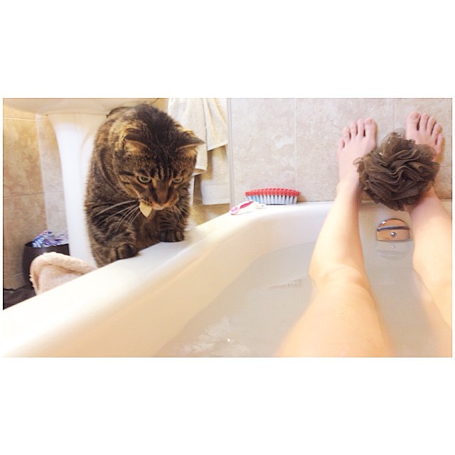 Katie Buitendyk Feet