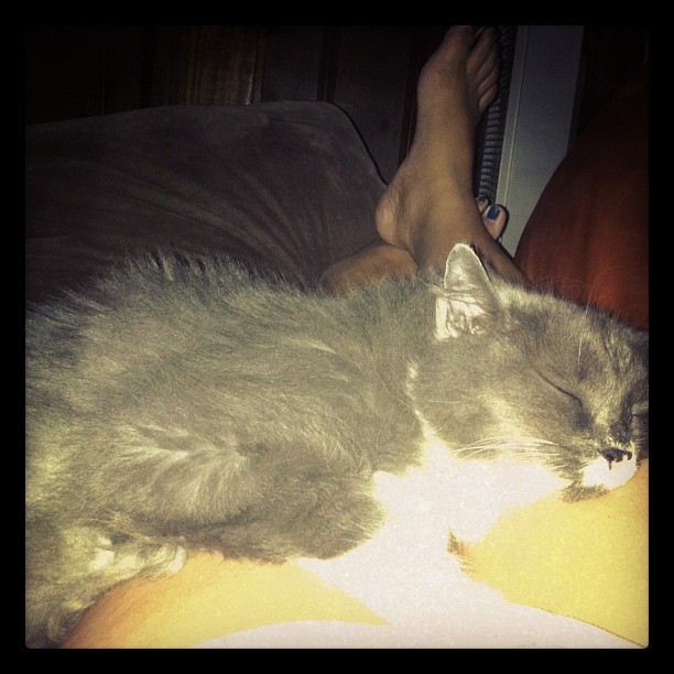 Ellen D Williams Feet