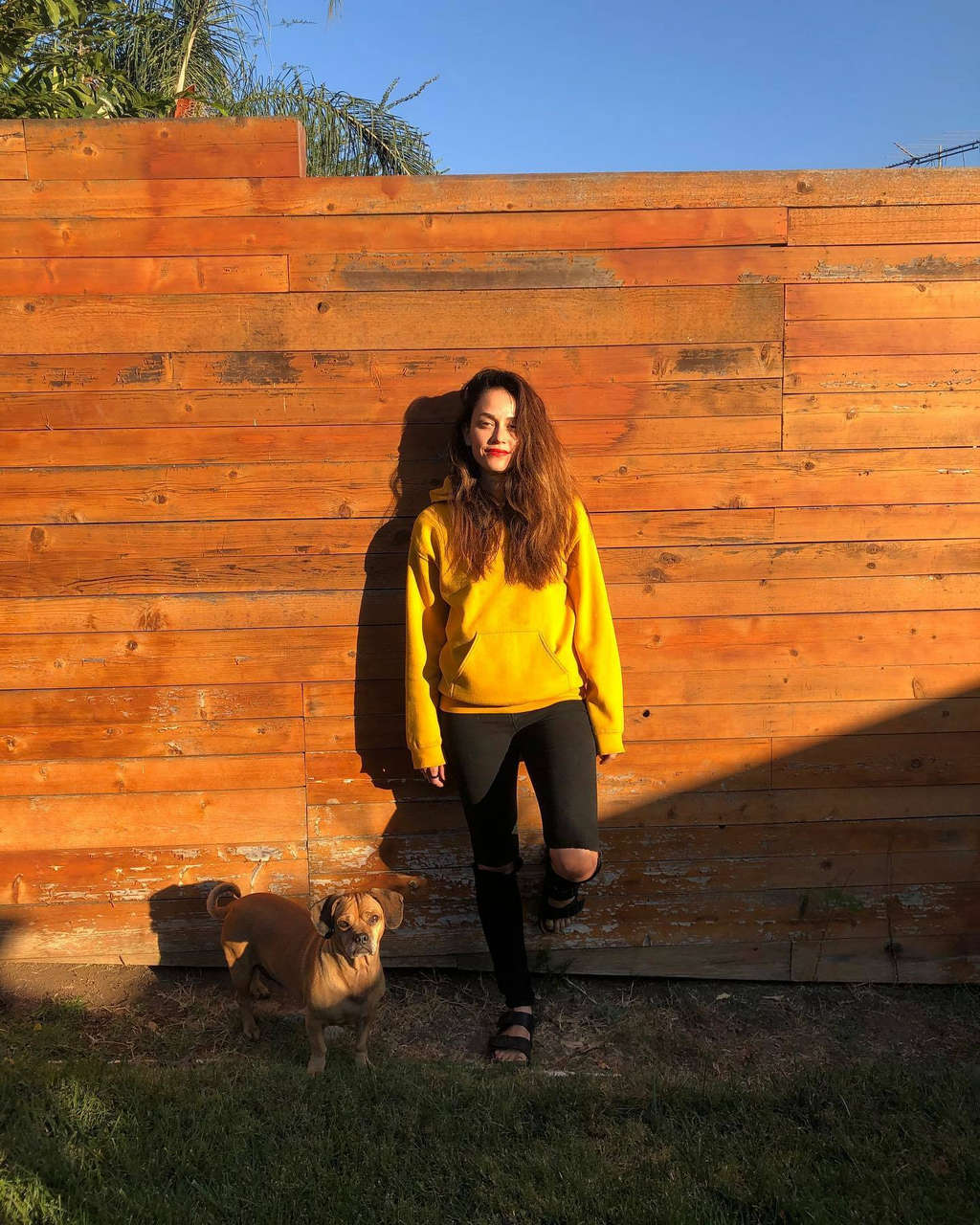 Fernanda Andrade Feet