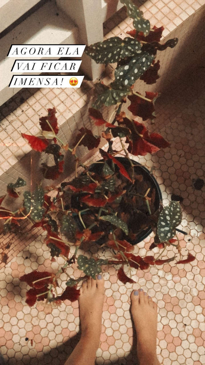 Giselle Batista Feet