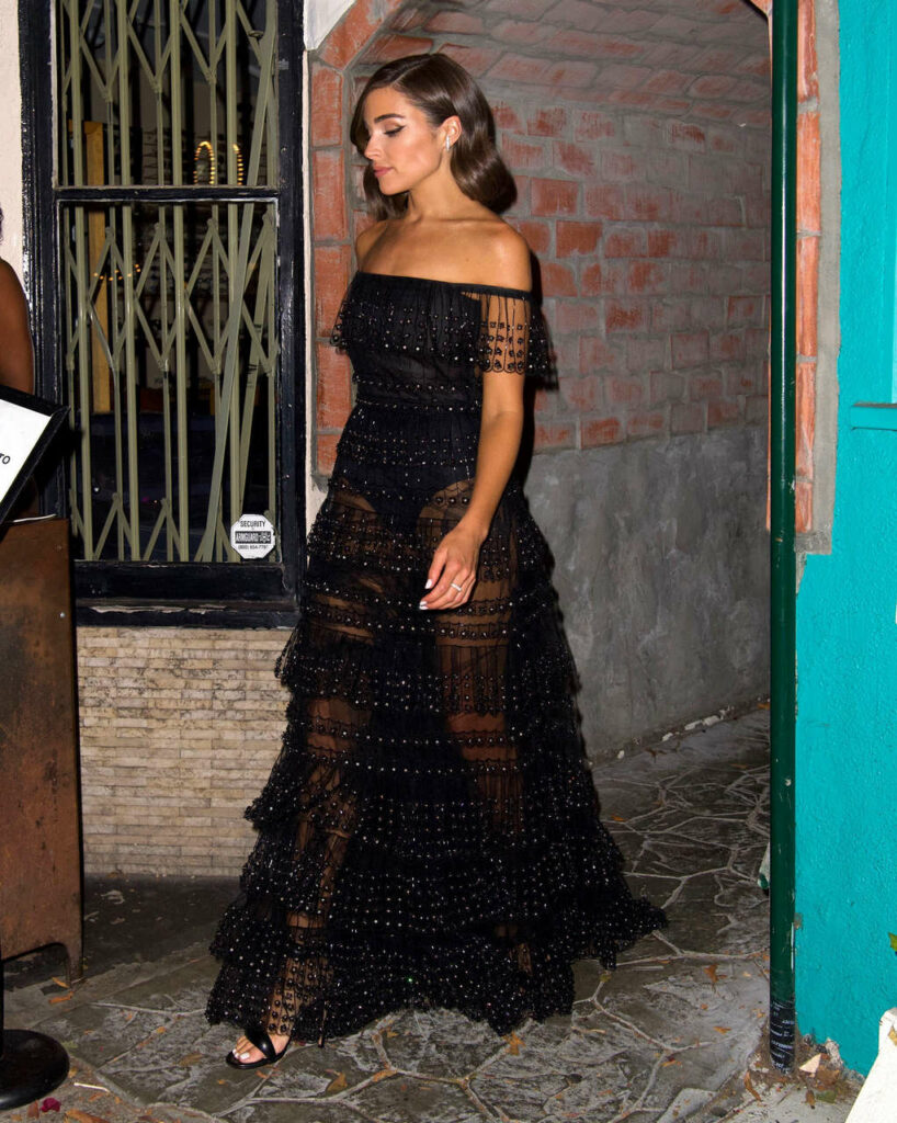 Olivia Culpo Feet (5 pictures)