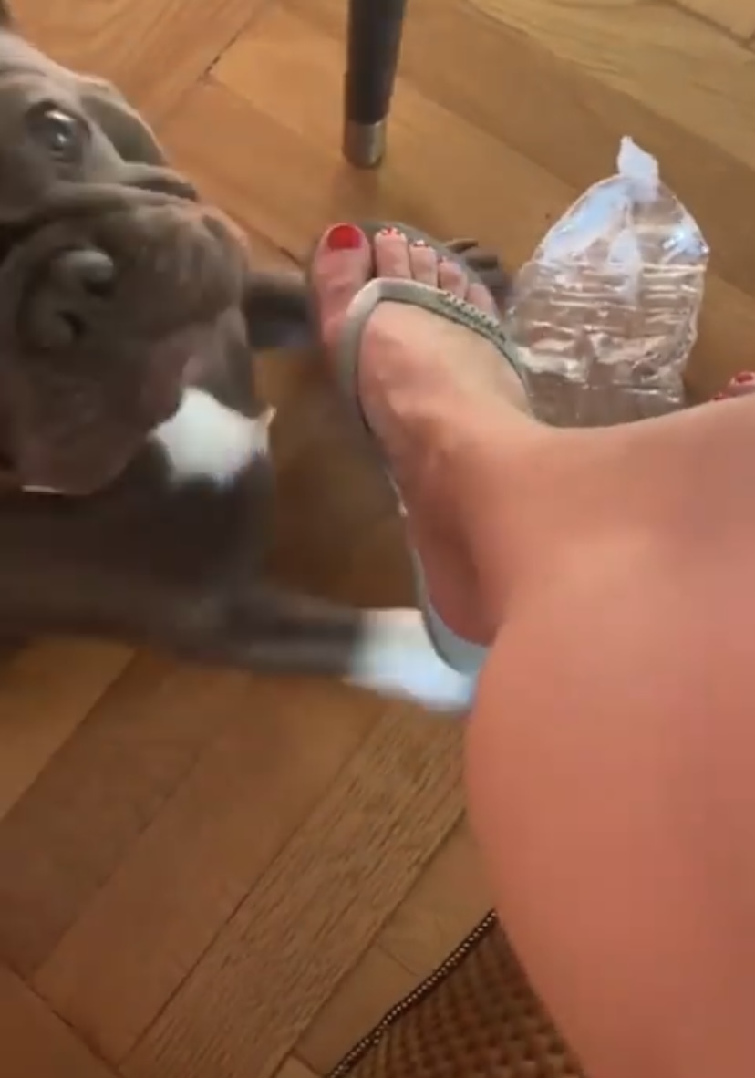 Priscilla Betti Feet