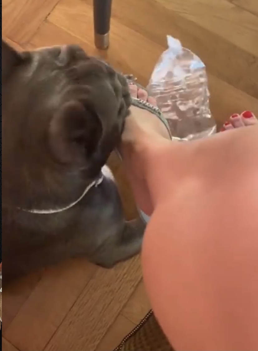 Priscilla Betti Feet