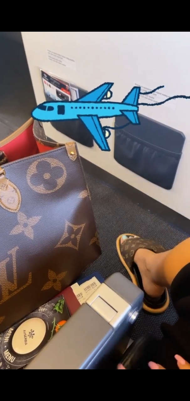 Jelena Karleusa Feet