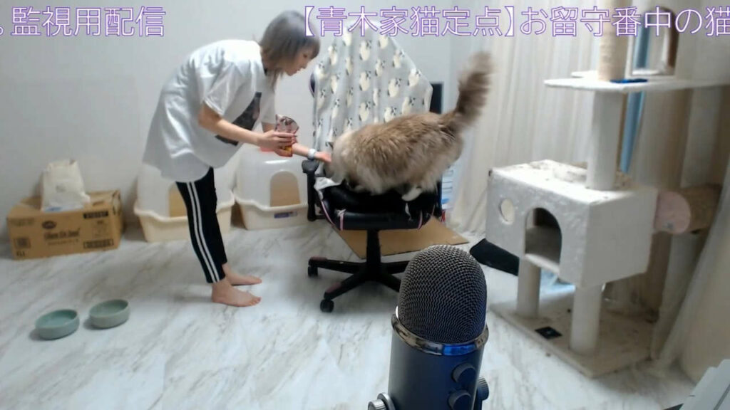 Shiki Aoki Feet (4 images)