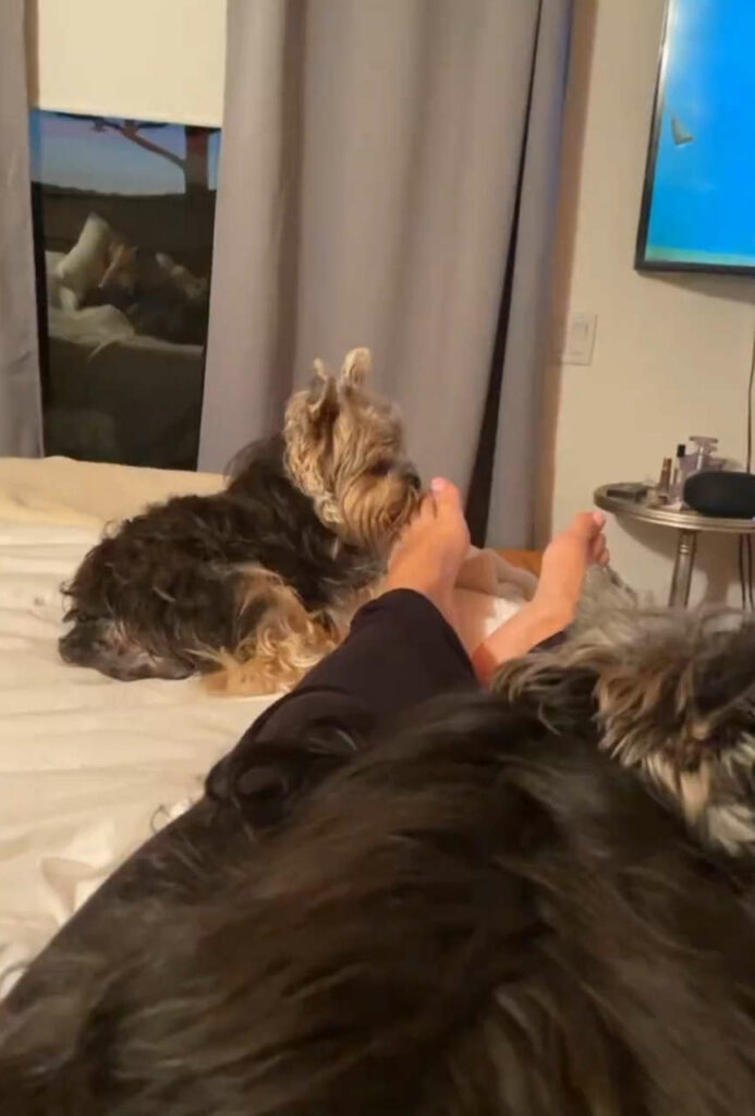 Lexie Kaplan Feet (3 photos)