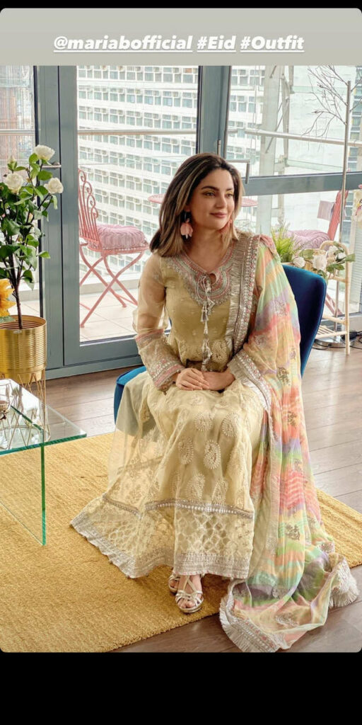 Armeena Rana Khan Feet (3 photos)