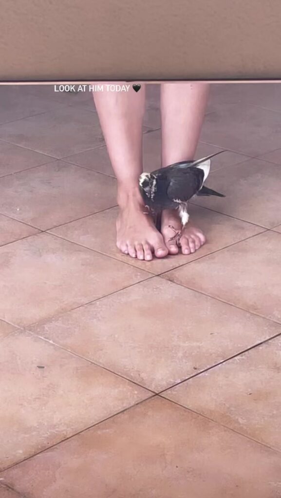 Helena Coelho Feet (2 images)