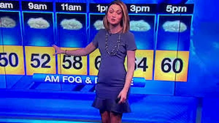 Britta Merwin KPRC2 Bio, Age, Husband, Family, Height, CNBC, Net Worth