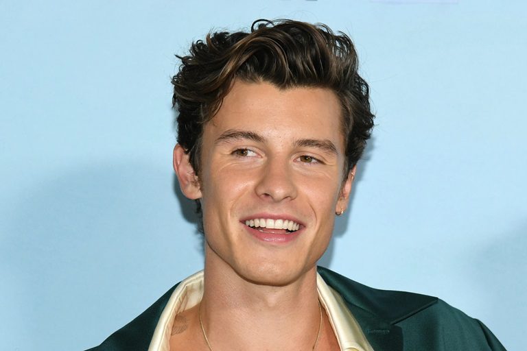 Is Shawn Mendes Gay Or Does He Have A Girlfriend? Gender And Sexuality