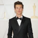 Is Shawn Mendes Gay Or Does He Have A Girlfriend? Gender And Sexuality • Celebily