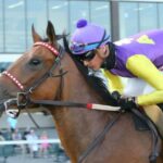 Who Is Jockey Alex Canchari Wife? Married Life, Kids And Net Worth • Celebily