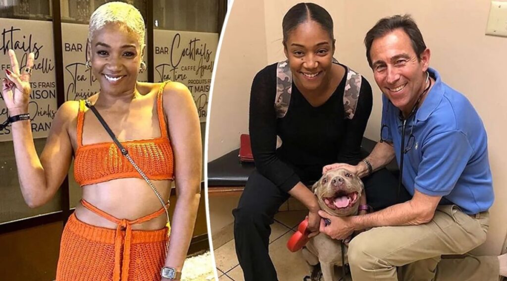 Tiffany Haddish dog Dreamer could sniff out STDs on dates