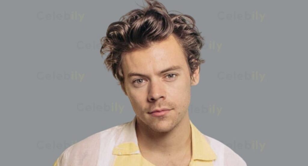 Harry Styles Net Worth: How Much is He Worth?
