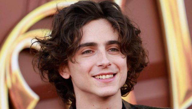 Timothée Chalamet Net Worth: How Much Is He truly Worth?