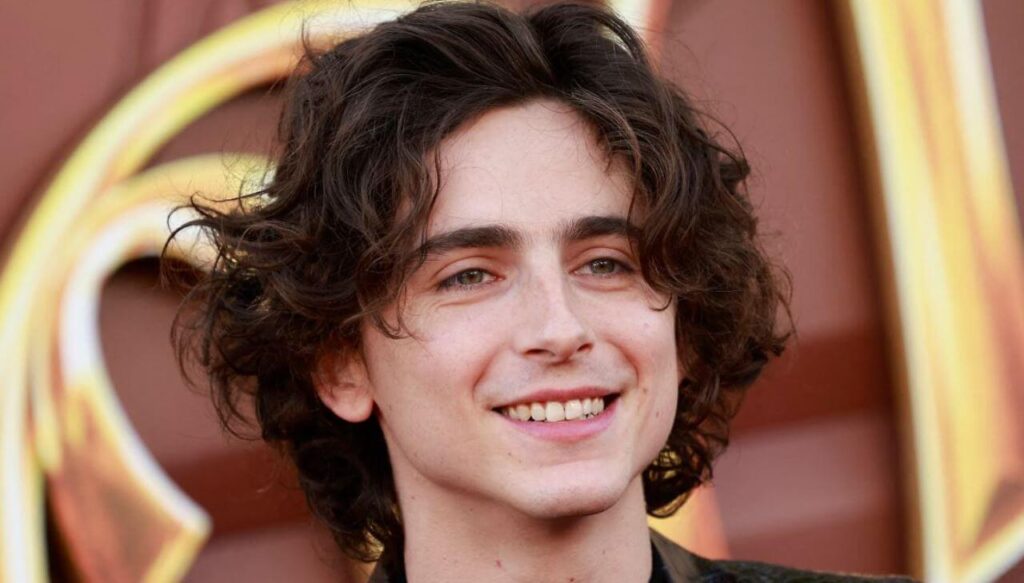 Timothée Chalamet Net Worth: How Much Is He Truly Worth?