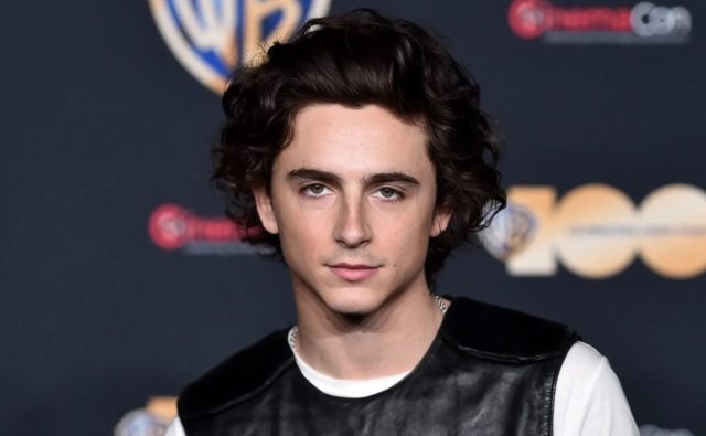 Timothée Chalamet Wife: Is Timothée Chalamet Married?