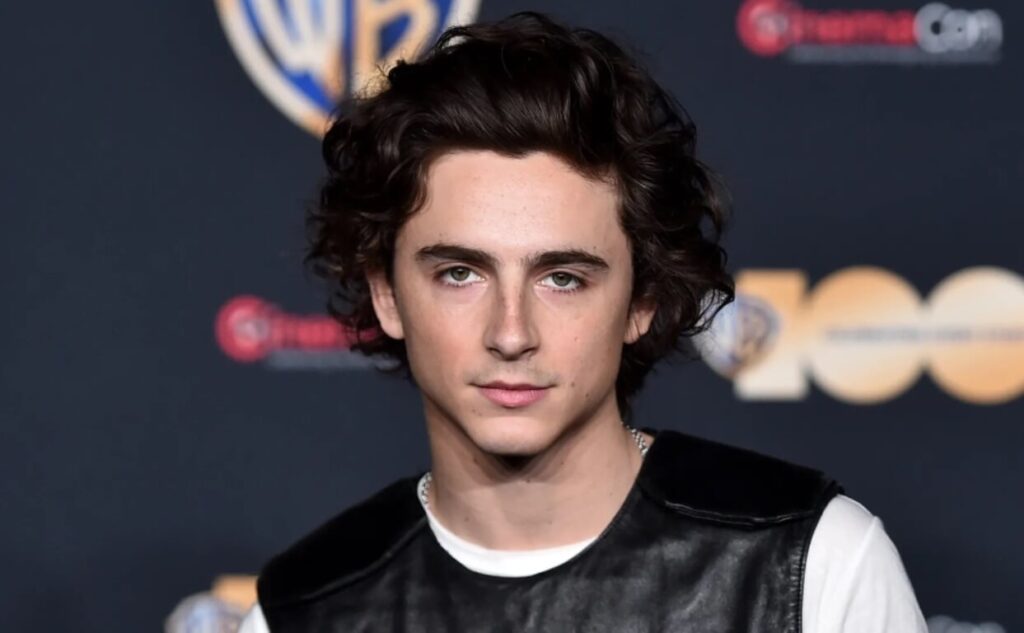 Timothée Chalamet Wife: Is Timothée Chalamet Married?
