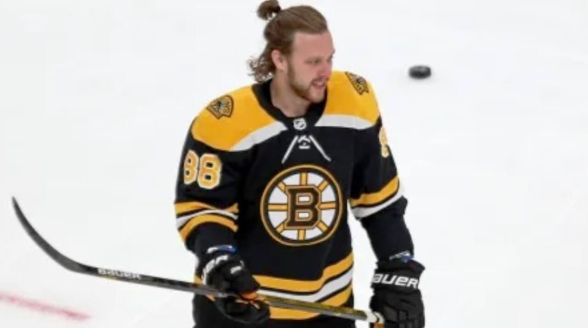 David Pastrnak Net Worth: How Much is He Truly Worth?
