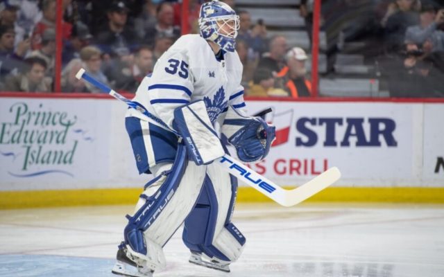 Ilya Samsonov Height: How Tall is Ilya Samsonov?