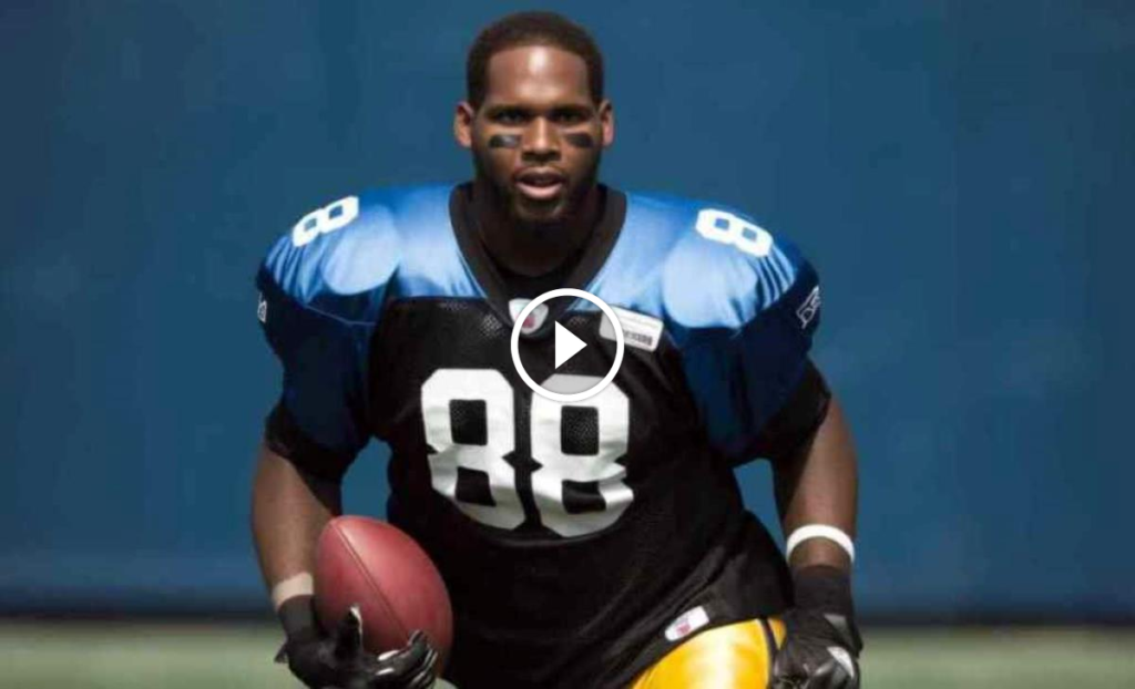 Bob Whitfield Net Worth: How Much Is Bob Worth?