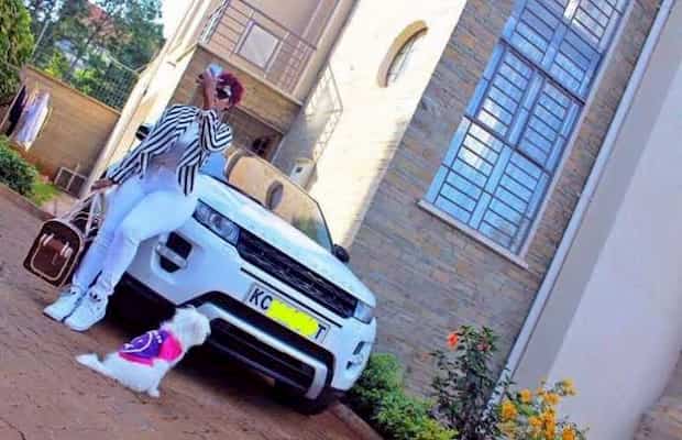 Vera's House in Kileleshwa