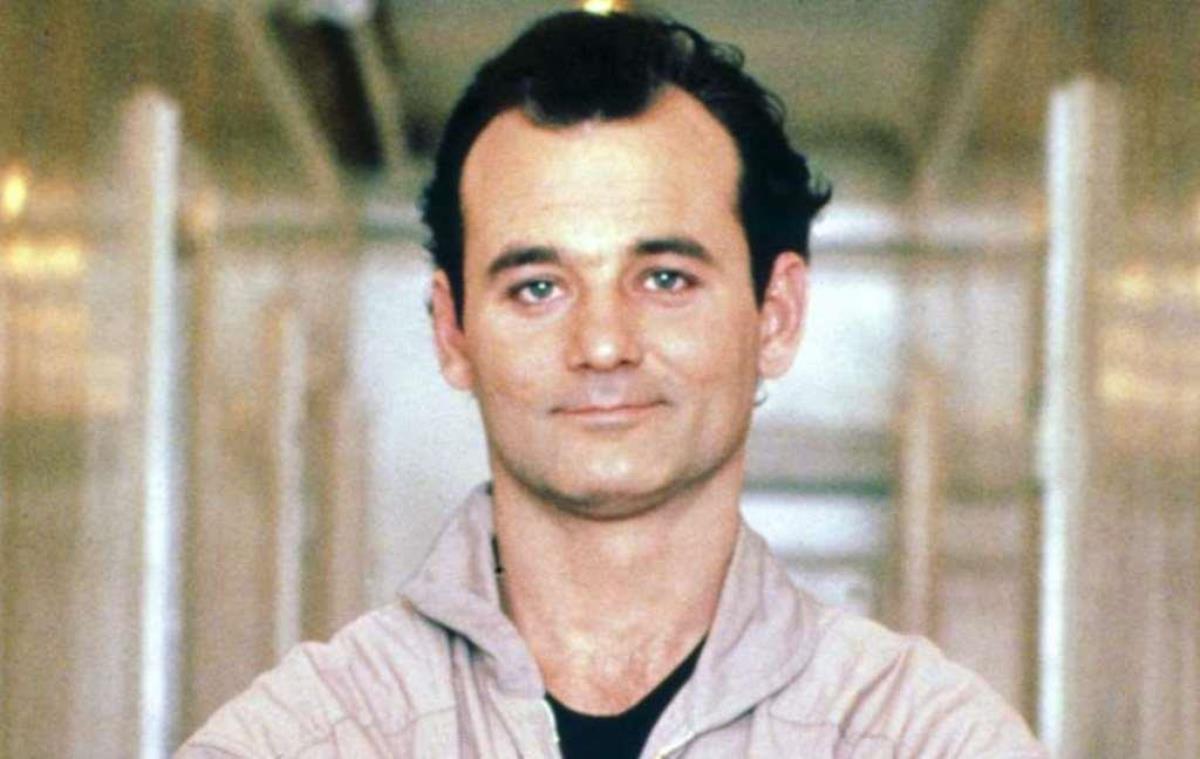 Bill Murray Net Worth
