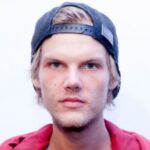 How Much Was the Wake Me Up DJ Worth?