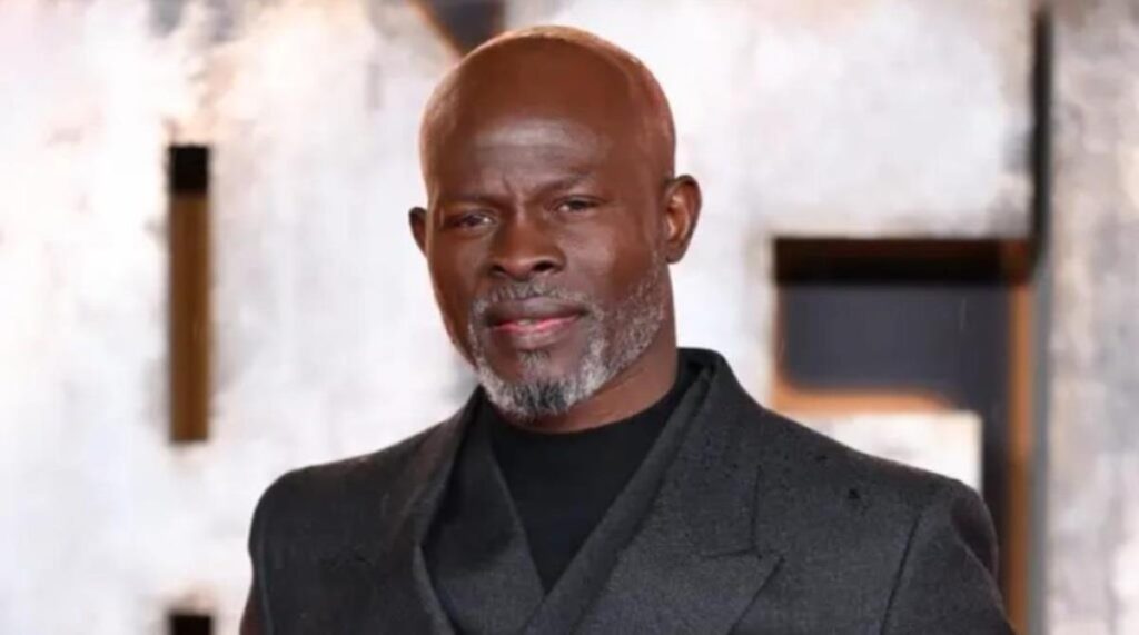 How Much is the Blood Diamond Actor Worth?