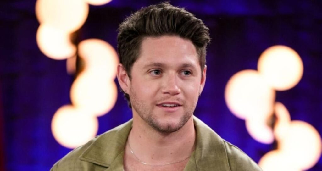 Niall Horan Net Worth 2024: How Much is the Slow Hands Singer Worth?