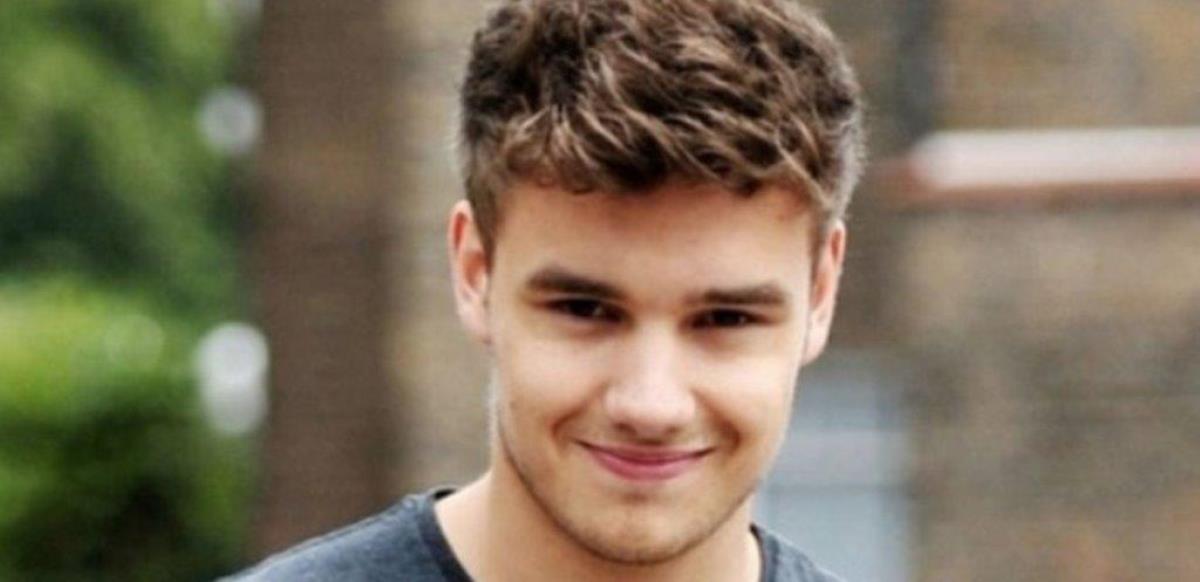 Liam Payne Net Worth