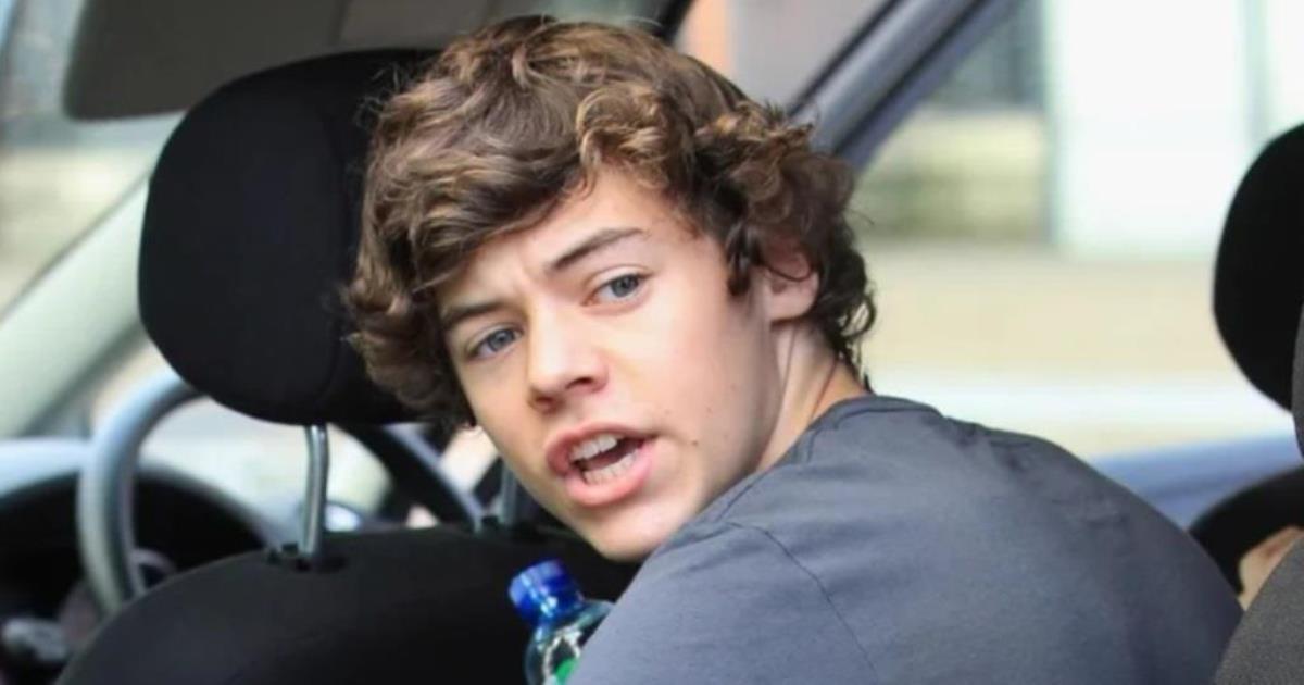 Harry Styles Net Worth